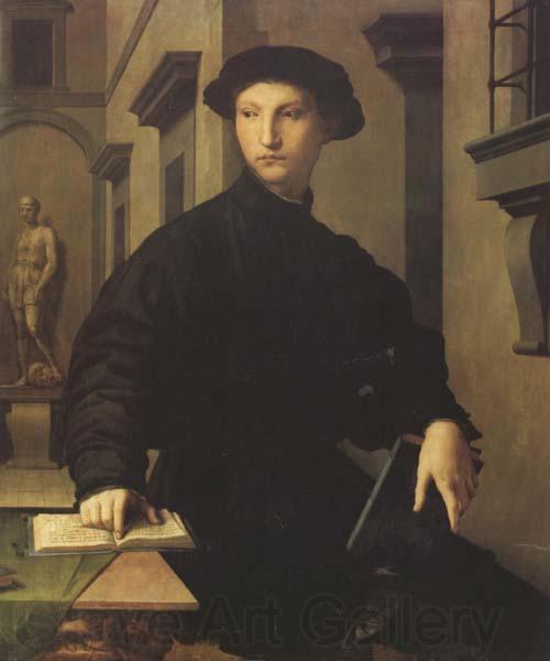 Agnolo Bronzino Ugolino Martelli (mk45) France oil painting art